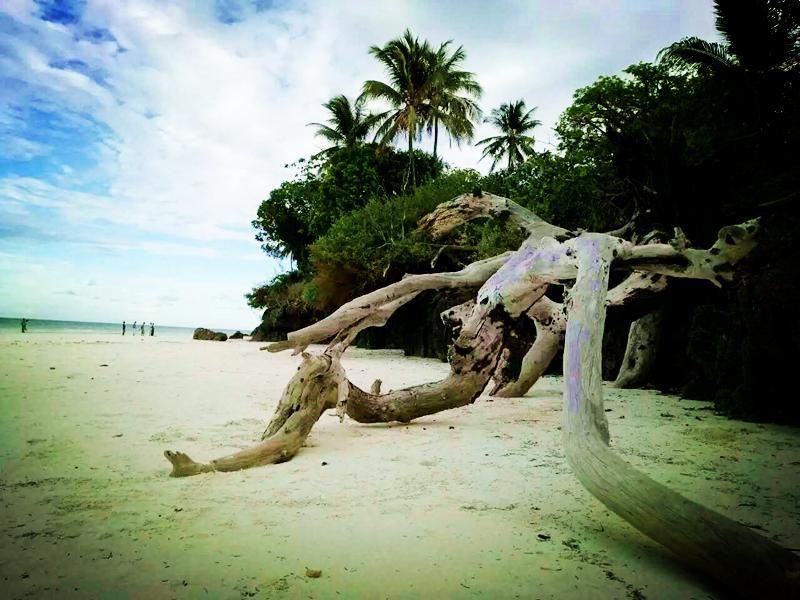 Diani Hostel Diani Beach Bagian luar foto